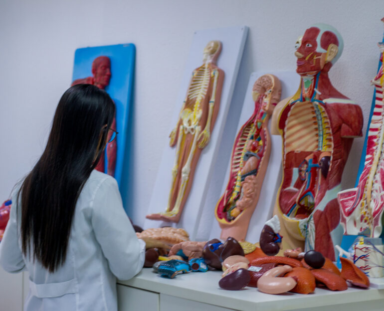 Enfermagem da Fanese esgota vagas para 2026.1 e matrículas seguem abertas para outros cursos